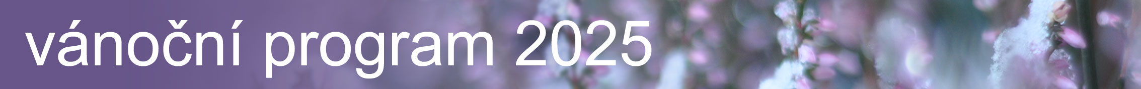 přehled bohoslužeb na vánoce